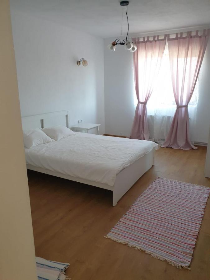 Casuta De La Munte Otel Sfodea Dış mekan fotoğraf