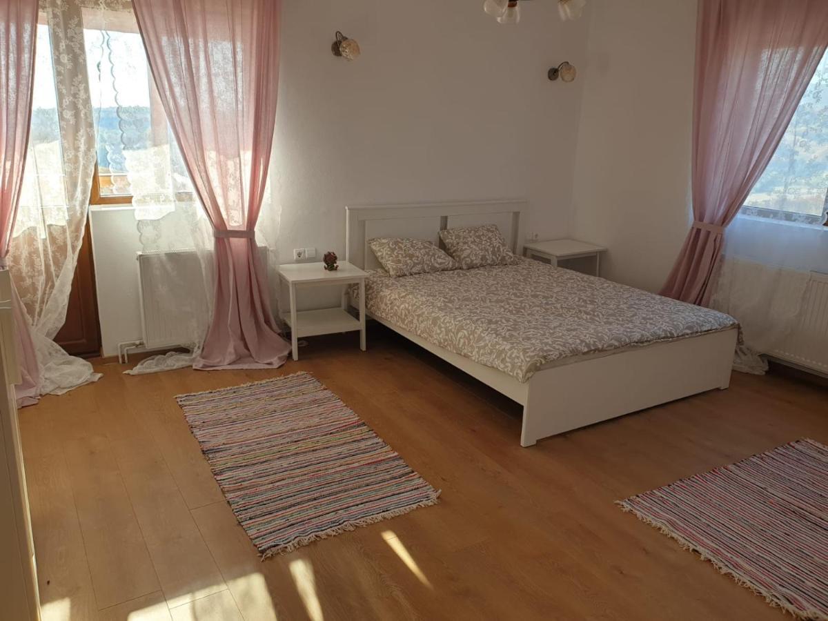 Casuta De La Munte Otel Sfodea Dış mekan fotoğraf