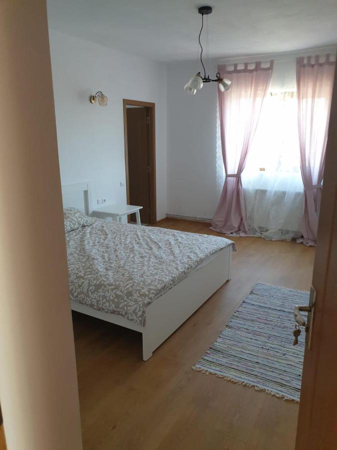 Casuta De La Munte Otel Sfodea Dış mekan fotoğraf