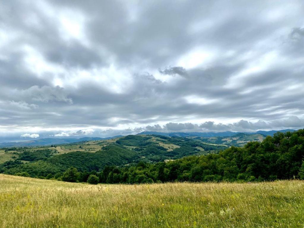Casuta De La Munte Otel Sfodea Dış mekan fotoğraf