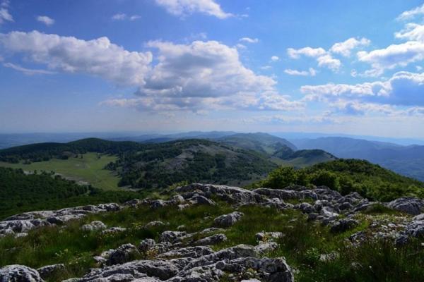 Casuta De La Munte Otel Sfodea Dış mekan fotoğraf
