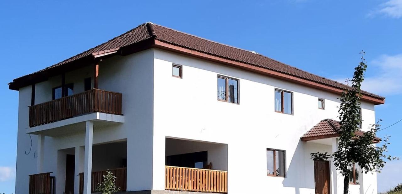 Casuta De La Munte Otel Sfodea Dış mekan fotoğraf