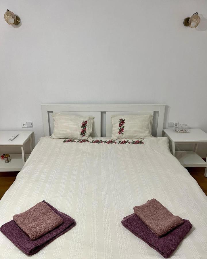 Casuta De La Munte Otel Sfodea Dış mekan fotoğraf
